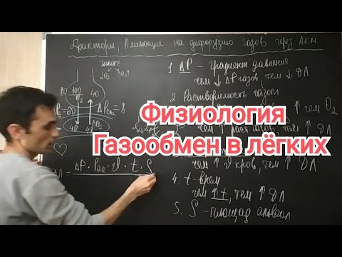 Видео: При внешнем дыхании кислород диффундирует из легких в ?