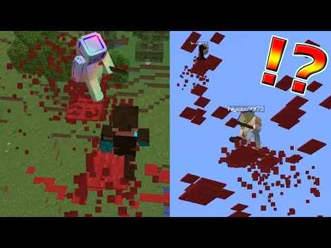 魔法の世界でサバイバル！【マイクラ】 #Shorts