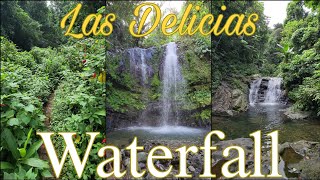 📍Las Delicias Waterfall Ciales, Puerto Rico 🇵🇷 Vertical Video 4K (UHD)