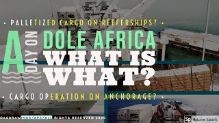 WHAT IS WHAT? | Reefer ships | Cargo Operations on Anchorage | Dole Africa | Descriptive Videos 2020