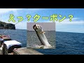 #カゴ釣り#ヒラマサ＃遠投カゴ#Fishing#Yellowtail 2020ヒラマサ釣り総集編(2020 Yellowtail Fishing digest video)  English Sub