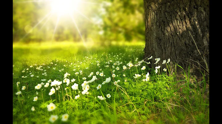Morning meditation for Positive Energy throughout ...