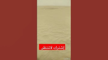 هاوي الخرجات الصحراوية قناة 2. دقيقة أسطورية للقارئ الفذ محمد الليثي رحمه الله تعالى.