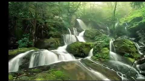 قران كريم بصوت جميل بدون حقوق الطباع والنشر