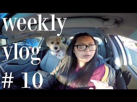 weekly-vlog-#10-|-doggy/puppy-love,-employee-of-the-month,-gopro-troll,-adele-25
