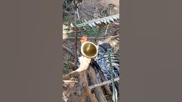 Cá Suối Nướng - Cá Nướng Ống Nứa cùng rau Dớn || Tuấn Têu || Tây Nguyên #TuấnTêu #taynguyen