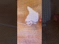 DIY Cross Stitch | Easy Beginner friendly