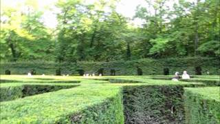 CHATEAU DE CHENONCEAU #1 (Labyrinthe - Maze)