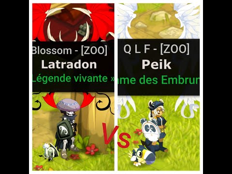 Dofus pvp Agro Latradon Sram 200 g8 vs Peik Osamodas 200 g8 [USH]