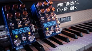 chasebliss Thermae 廃盤 DEMO ]Chase Bliss - Thermae (Lots of Info) : r/guitarpedals