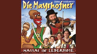 Mei steirische Harmonika - DIE MAYRHOFNER