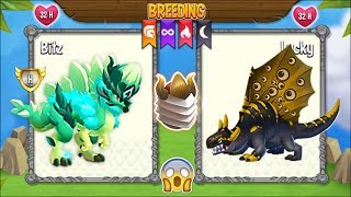 New Breeding Breaker Dragon & Sailer Dragon Dragon City 2019