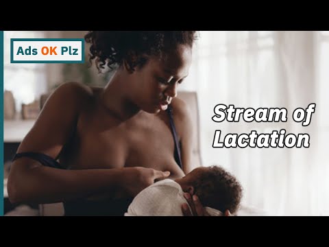 Frida Mom - Stream of Lactation - Gloden Globes 2021