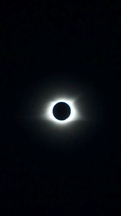 Witness The Total Solar Eclipse 2024! #shorts #eclipse #solareclipse #sun