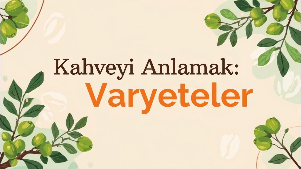 Kahveyi Anlamak Varyeteler  - Mokapota Shöt