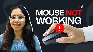 Mouse Not Working in Windows PC? Here