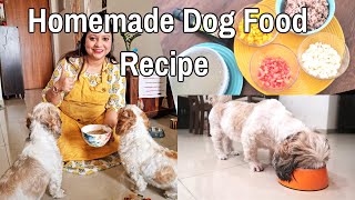 TASTY + HEALTHY Homemade Dog food | HOMEMADE dog food recipe | NonVeg and Veg Dog food