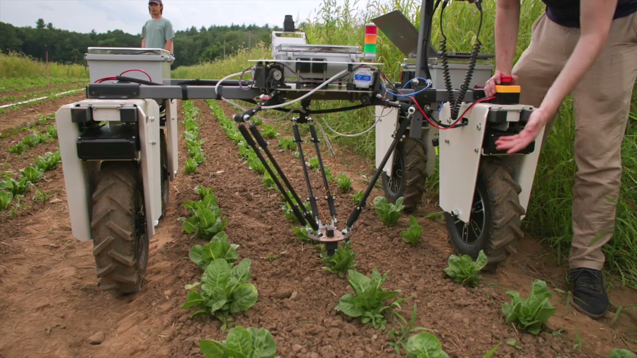 Watch an Autonomous Weeding Robot in Action
