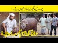 Sajjad jani team very funny bull drama in punjabi  latest funny by sajjad jani official team