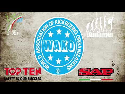 Oleksandr Vlasenko V Ivan Zinovev WAKO World Championships 2018 