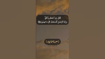 سورة الأنبياء الآية ١١٢ بصوت الشيخ محمد صديق المنشاوي