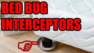 Bed Bug Interceptors  Do they work?  Honest Review