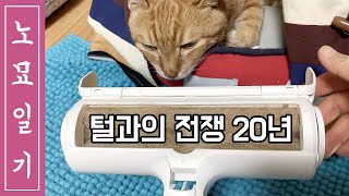 [Diary of an oldcat] 20 years of war on cat hair - How to win