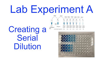 Experiment A   Serial Dilution