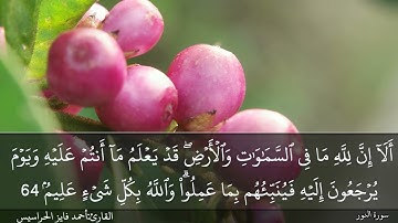 الصفحة 359 سورة النور بصوت القارئ المهندس أحمد فايز الحراسيس