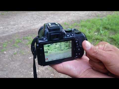 Vidéo: Comment Prendre Des Photos Avec Nikon