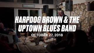Harpdog Brown &amp; The Uptown Blues Band
