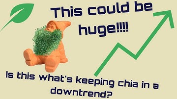 This is why Chia keeps going down || XCH analysis
