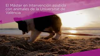 Máster de Formación Permanente en Intervención Asistida con Animales