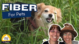 Dietary Fiber for Pets