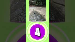 Wanna Bet  shorts trytofind