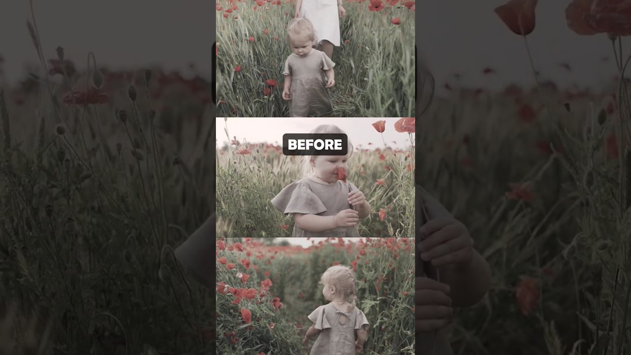 Using Moody Cinematic Brown LUTs Pack 