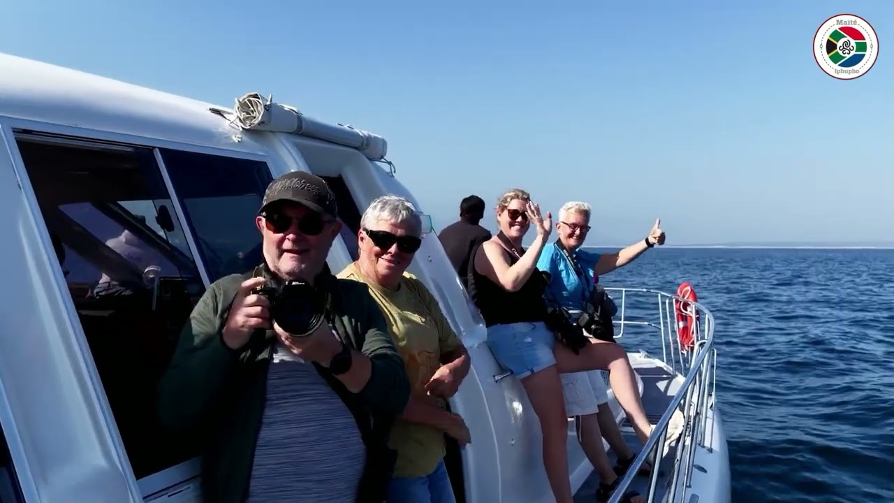 Whale Watching in Hermanus with Maîté Iphupho