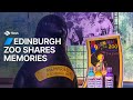 Edinburgh Zoo takes a trip down memory lane