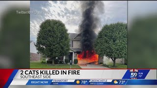 2 cats killed in fire on Indy's southeast side