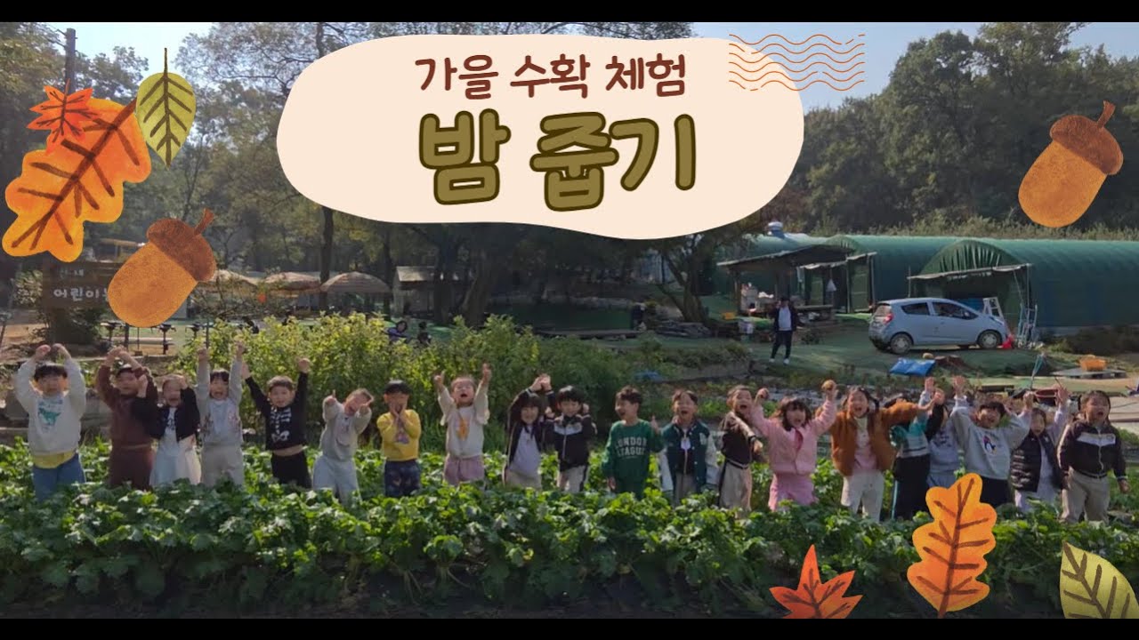2025년 10월 체험학습_동글동글 가을 밤 수확🌰
