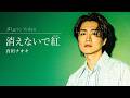 消えないで紅 / 真田ナオキ