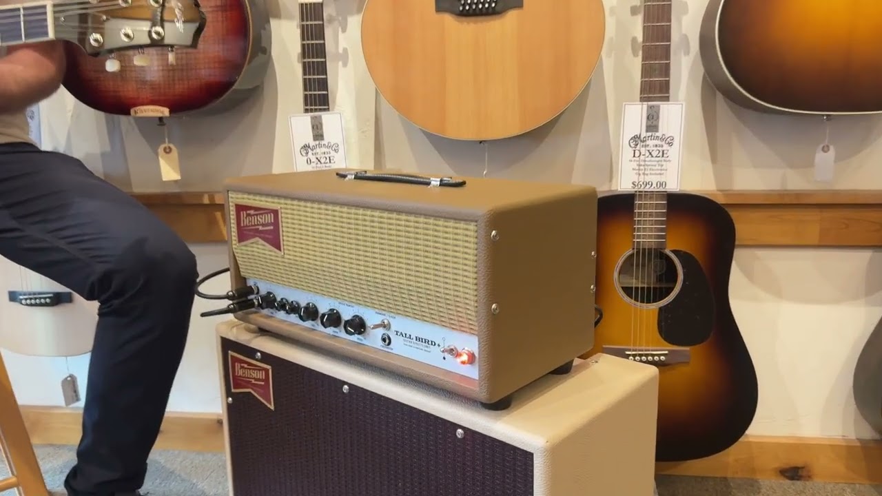 Have you tried the Benson Tall Bird +? Tube-driven Reverb and Tremolo makes any rig sound better!