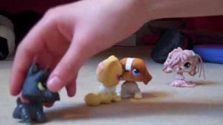 lps randomness p2