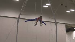 Shane Wiskus - Still Rings - 2024 Winter Cup - Men Day 2
