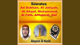 Sourate Ad Dukhan (Warsh)