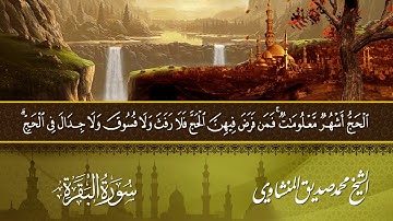 قالب قرآن كريم للمونتاج بدون الآيات واسم الشيخ والسورة Template Quran Karim