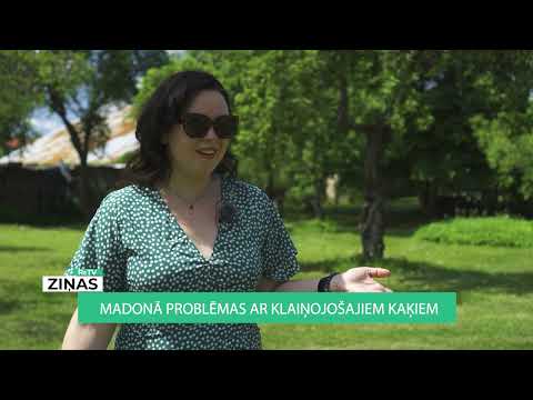 Video: Atbrīvošanās No Kaķiem Var Izraisīt Ilgtermiņa Problēmas