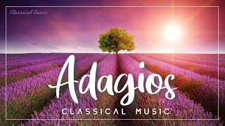 The Best Adagios In Classical Music | Chopin Bach Mozart Beethoven Liszt Mendelssohn