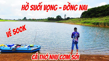 Câu cá lóc ở Hồ Suối Vọng - Đồng Nai, anh em xem để hướng dẫn Thuận cách trị bầy cá này với