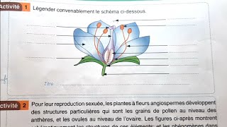 Univers documents SVT 2AC La reproduction sexuée et asexuée chez les végétaux Page 107 et page 109